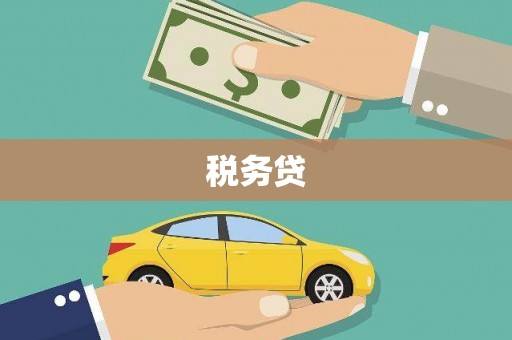 黎平税务贷