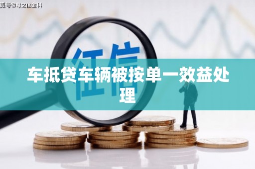 华安车抵贷车辆被按单一效益处理