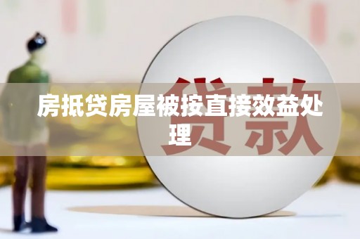华安房抵贷房屋被按直接效益处理