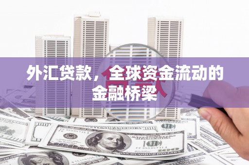 中和外汇贷款，全球资金流动的金融桥梁