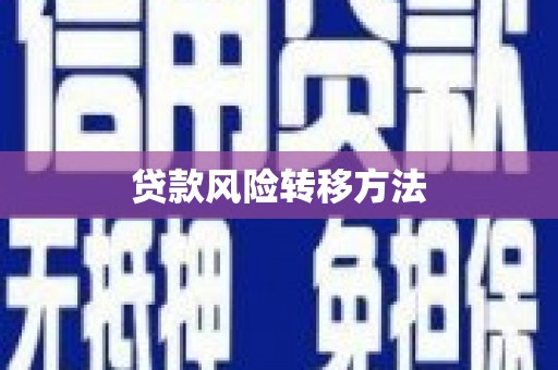 惠山贷款风险转移方法