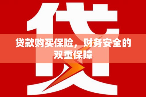 隆昌贷款购买保险，财务安全的双重保障