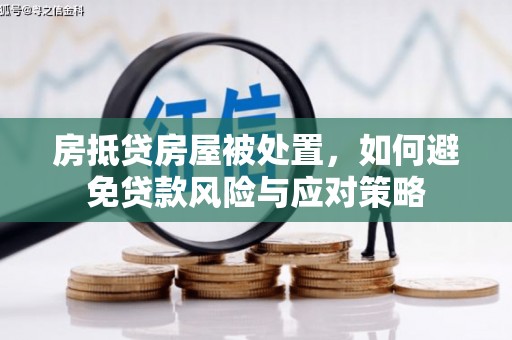 桃城房抵贷房屋被处置，如何避免贷款风险与应对策略