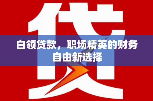 洞口白领贷款，职场精英的财务自由新选择
