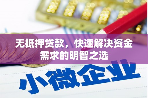 凌海无抵押贷款，快速解决资金需求的明智之选