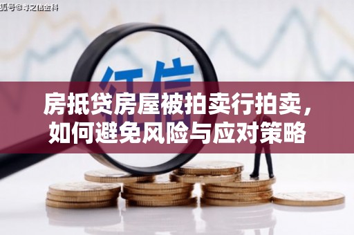 振安房抵贷房屋被拍卖行拍卖，如何避免风险与应对策略