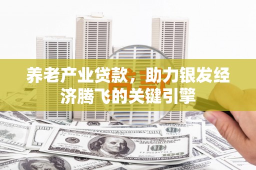 岷县养老产业贷款，助力银发经济腾飞的关键引擎