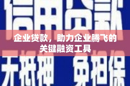 威宁企业贷款，助力企业腾飞的关键融资工具