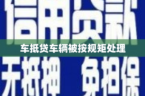 临安车抵贷车辆被按规矩处理