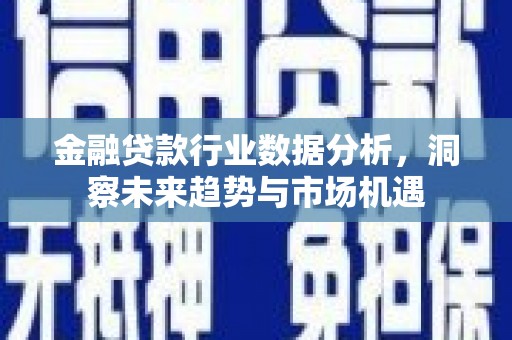 额敏金融贷款行业数据分析，洞察未来趋势与市场机遇