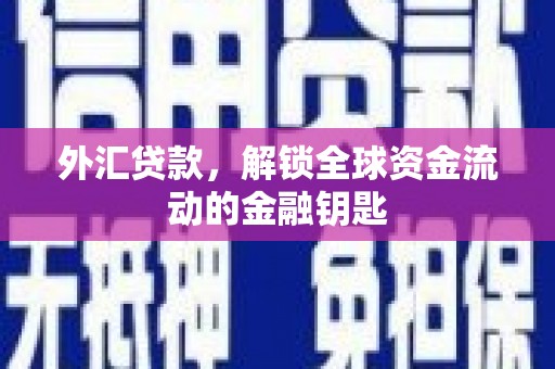 黄陂外汇贷款，解锁全球资金流动的金融钥匙