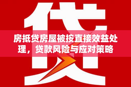 禄劝房抵贷房屋被按直接效益处理，贷款风险与应对策略
