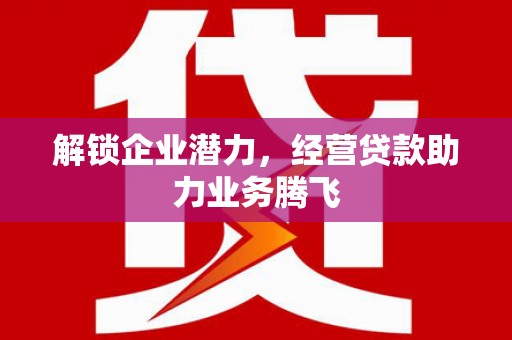 瑞穗解锁企业潜力，经营贷款助力业务腾飞