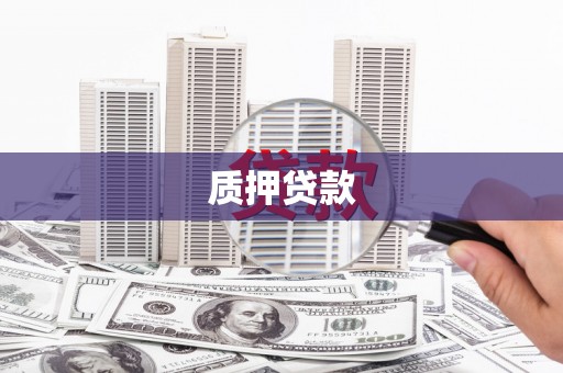 玄武质押贷款