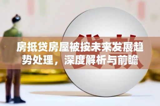 盐埕房抵贷房屋被按未来发展趋势处理，深度解析与前瞻