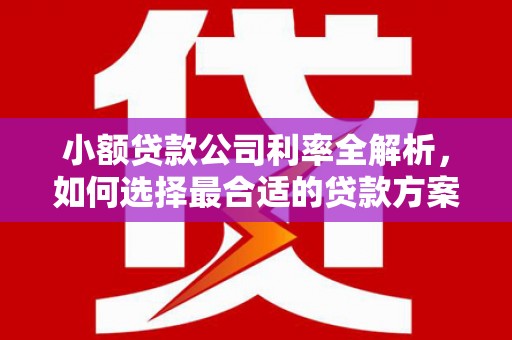 金平小额贷款公司利率全解析，如何选择最合适的贷款方案