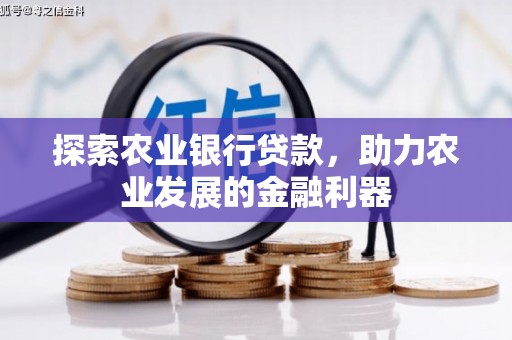 永胜探索农业银行贷款，助力农业发展的金融利器