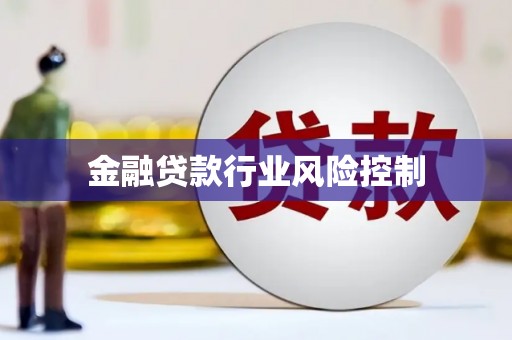 青浦金融贷款行业风险控制