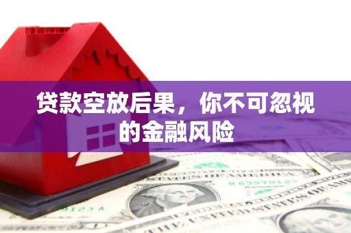柳东贷款空放后果，你不可忽视的金融风险