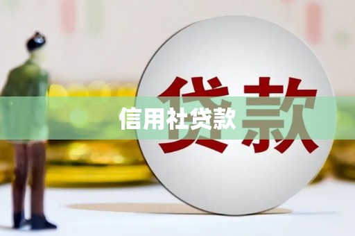 港南信用社贷款
