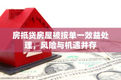 静海房抵贷房屋被按单一效益处理，风险与机遇并存
