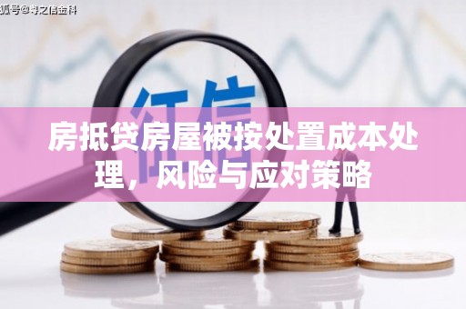 定南房抵贷房屋被按处置成本处理，风险与应对策略