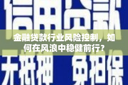若羌金融贷款行业风险控制，如何在风浪中稳健前行？
