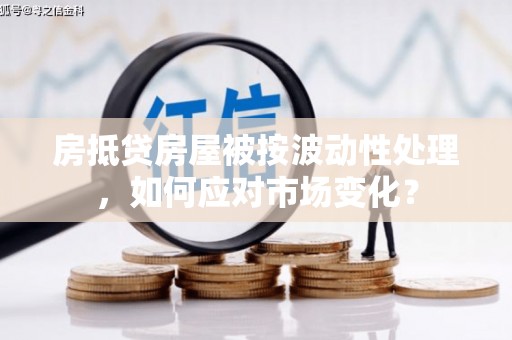 大丰房抵贷房屋被按波动性处理，如何应对市场变化？