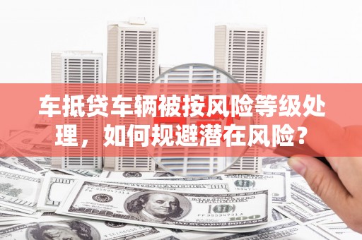 大丰车抵贷车辆被按风险等级处理，如何规避潜在风险？