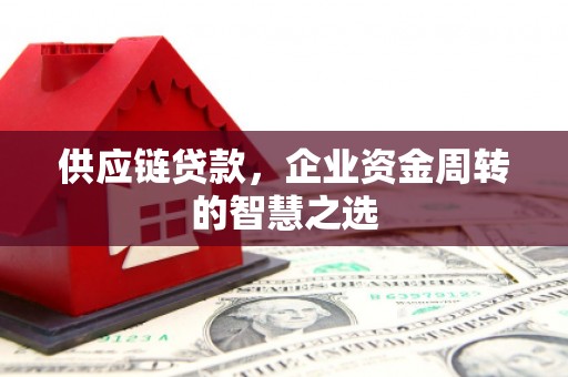 忠县供应链贷款，企业资金周转的智慧之选