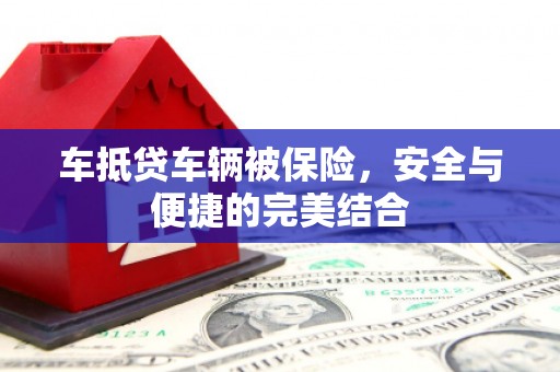 大树车抵贷车辆被保险，安全与便捷的完美结合