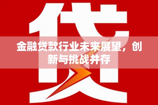 柳南金融贷款行业未来展望，创新与挑战并存