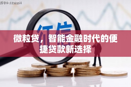 八德微粒贷，智能金融时代的便捷贷款新选择