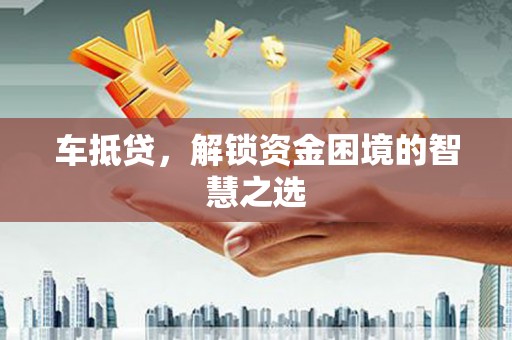 大树车抵贷，解锁资金困境的智慧之选