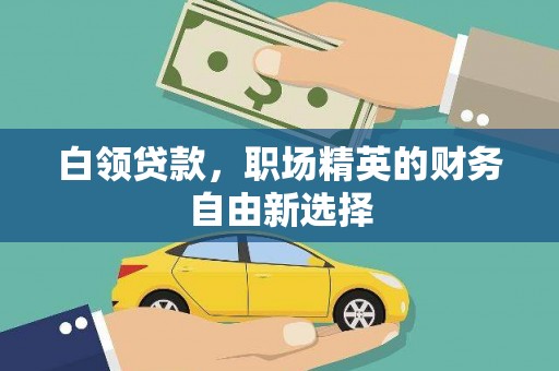 岳阳白领贷款，职场精英的财务自由新选择
