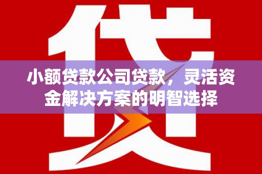 新洲小额贷款公司贷款，灵活资金解决方案的明智选择