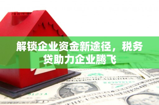 罗庄解锁企业资金新途径，税务贷助力企业腾飞