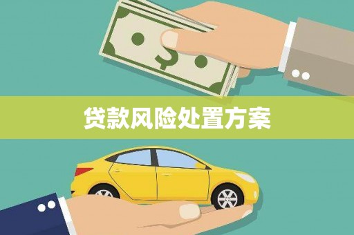 连州贷款风险处置方案