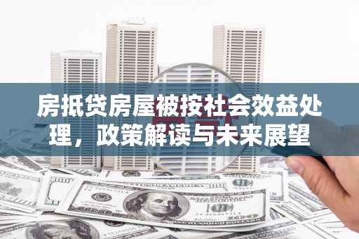 罗庄房抵贷房屋被按社会效益处理，政策解读与未来展望