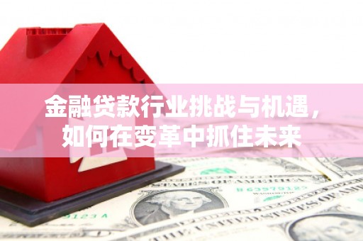 错那金融贷款行业挑战与机遇，如何在变革中抓住未来