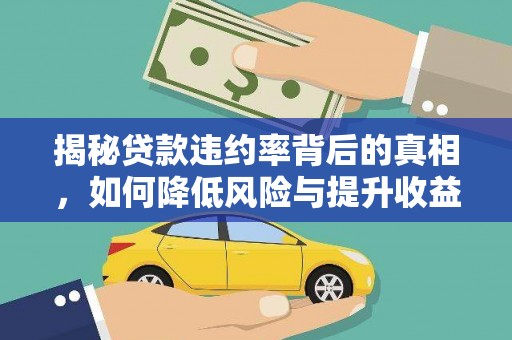 海林揭秘贷款违约率背后的真相，如何降低风险与提升收益