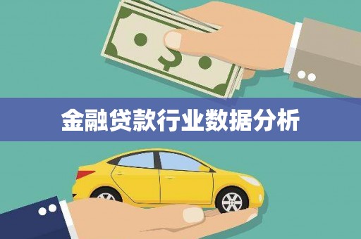 宁化金融贷款行业数据分析