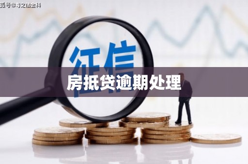 无为房抵贷逾期处理