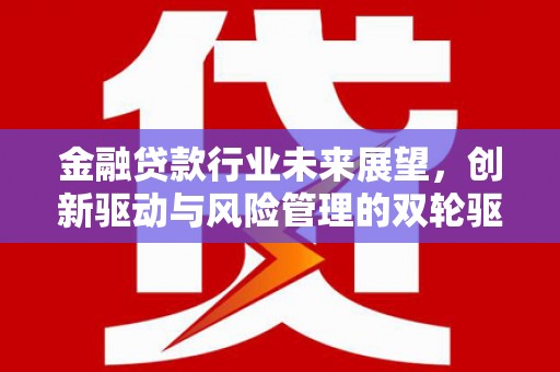 德城金融贷款行业未来展望，创新驱动与风险管理的双轮驱动
