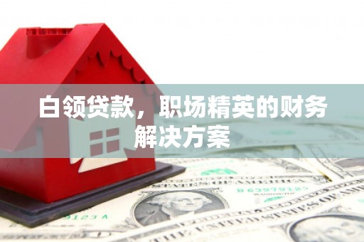 元谋白领贷款，职场精英的财务解决方案