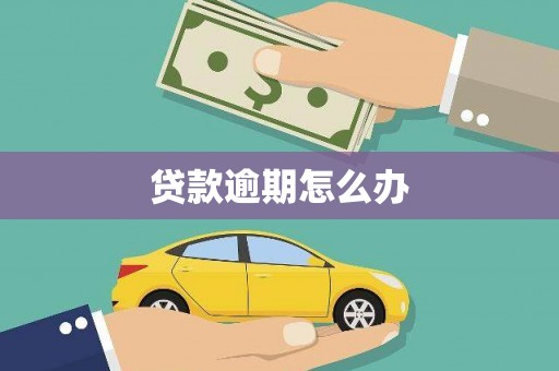 滁州贷款逾期怎么办
