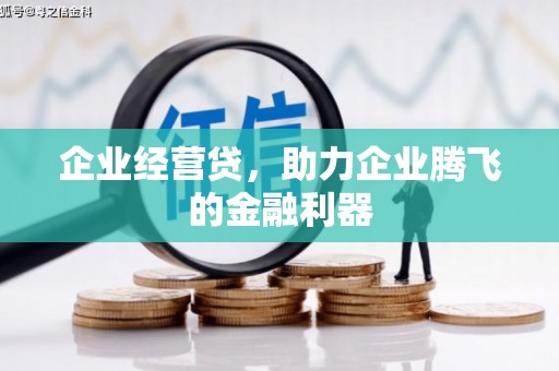 萨迦企业经营贷，助力企业腾飞的金融利器