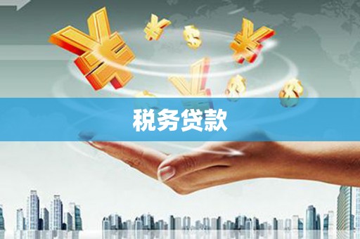 德城税务贷款