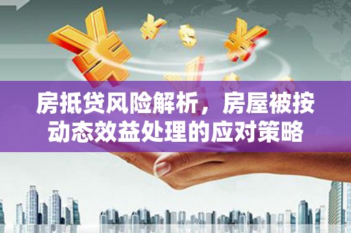 海林房抵贷风险解析，房屋被按动态效益处理的应对策略