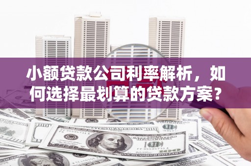 江苏小额贷款公司利率解析，如何选择最划算的贷款方案？